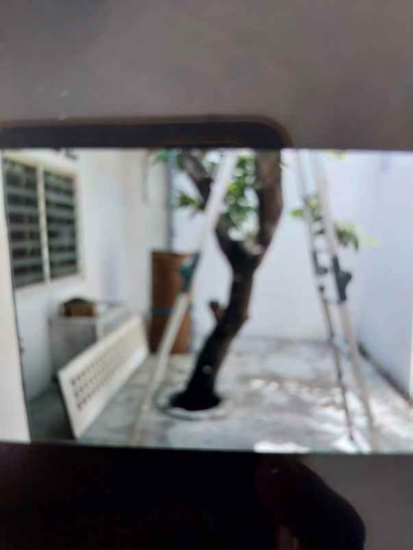 dijual rumah wisma permai