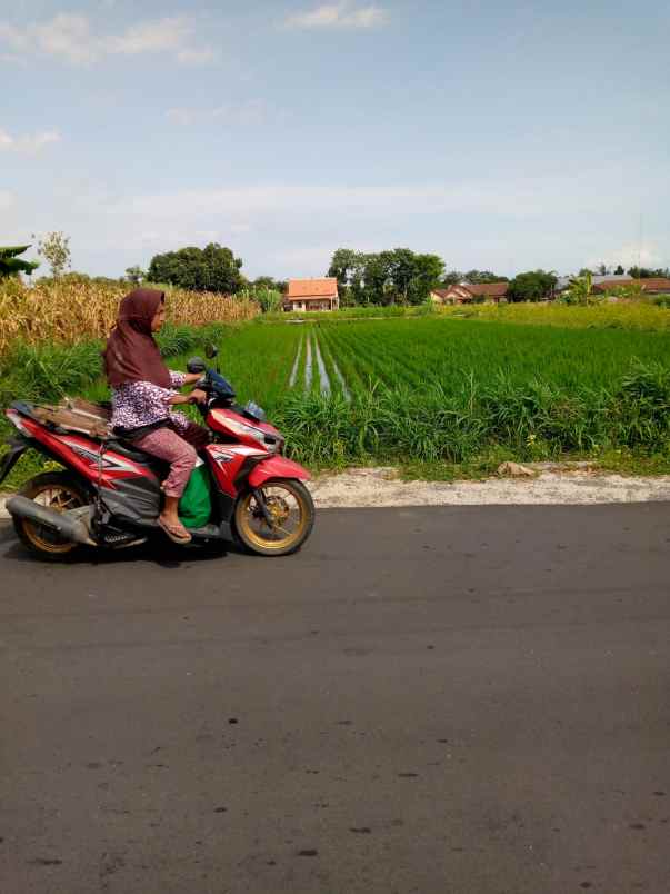 dijual sawah kranggan kebonalas manisrenggo