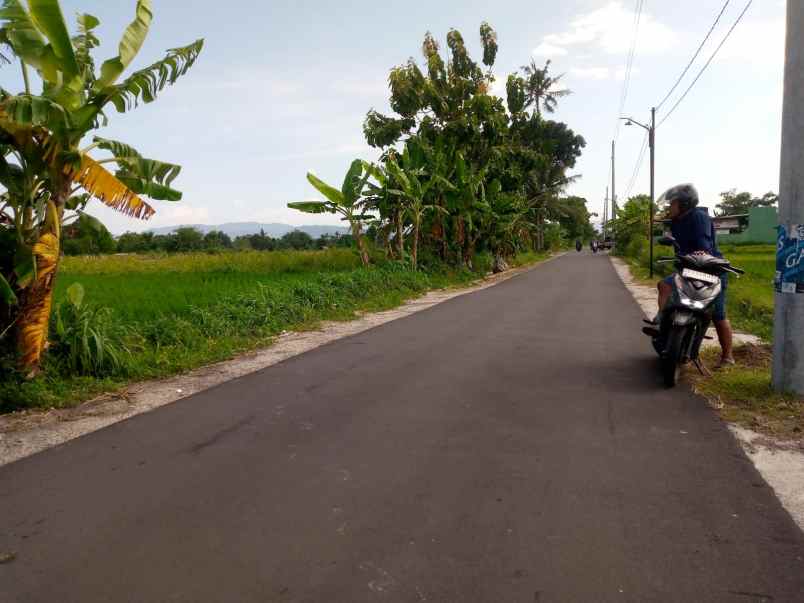 dijual sawah kranggan kebonalas manisrenggo