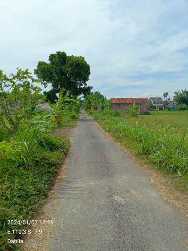 dijual sebidang sawah di kasongan