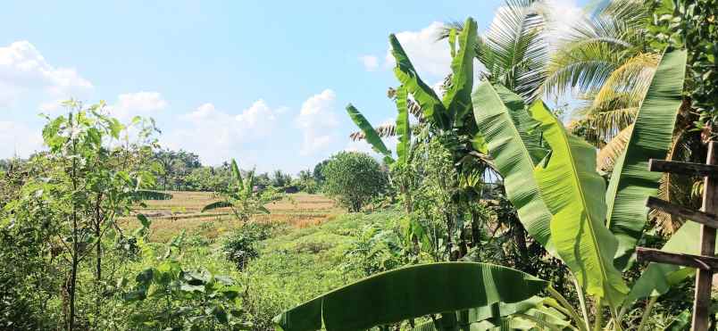 dijual tanah abiansemal badung bali