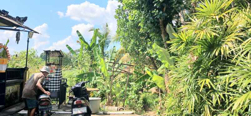 dijual tanah abiansemal badung bali