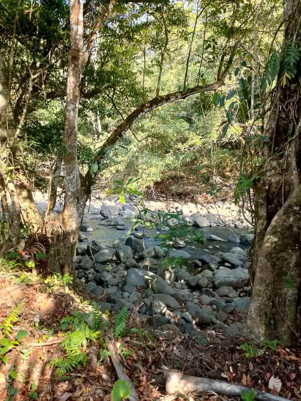 dijual tanah banjar dinas munduk desa