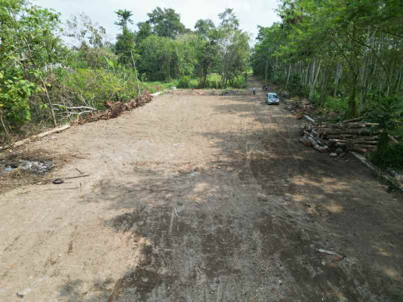 dijual tanah banjeng maguwoharjo