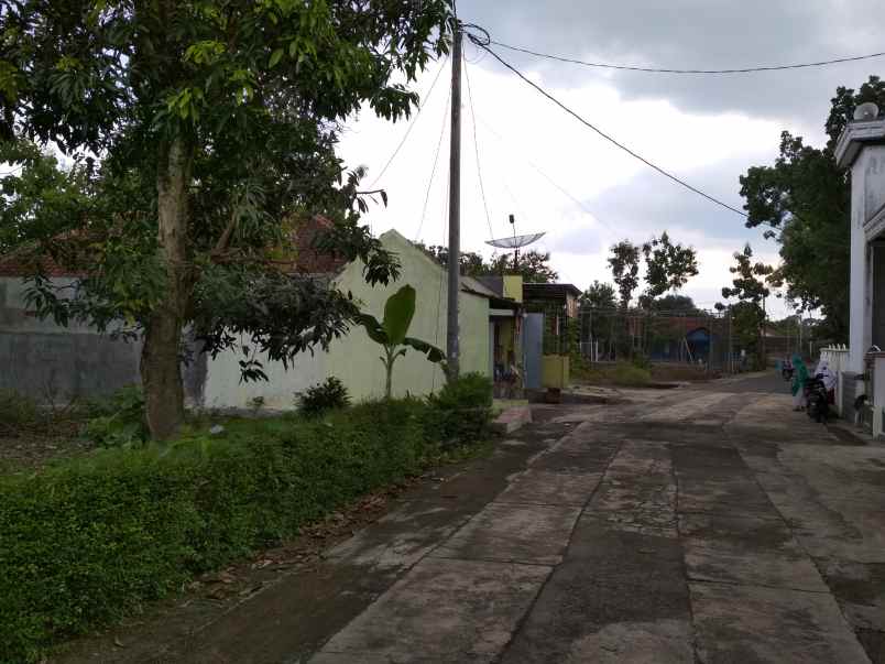 dijual tanah barong desa pendem