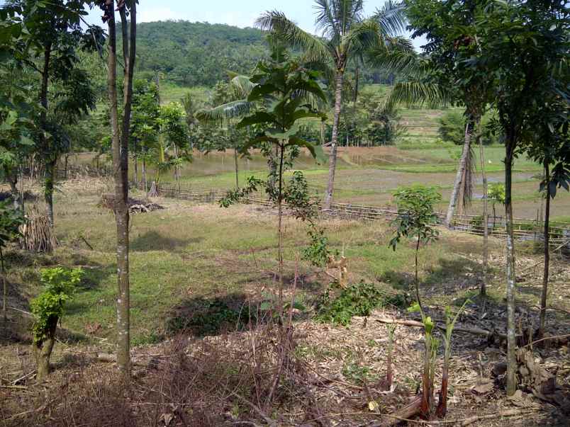 dijual tanah cibatu