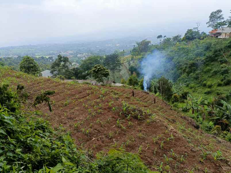 dijual tanah cipelang cijeruk bogor