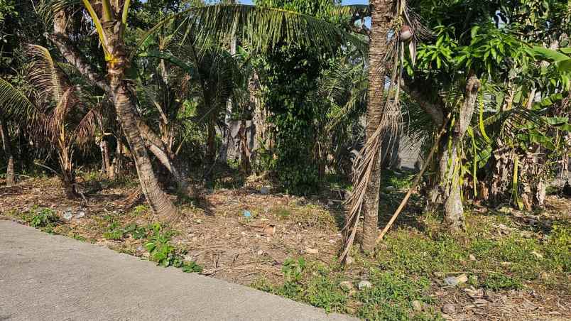 dijual tanah cocok untuk villa lokasi kedungu