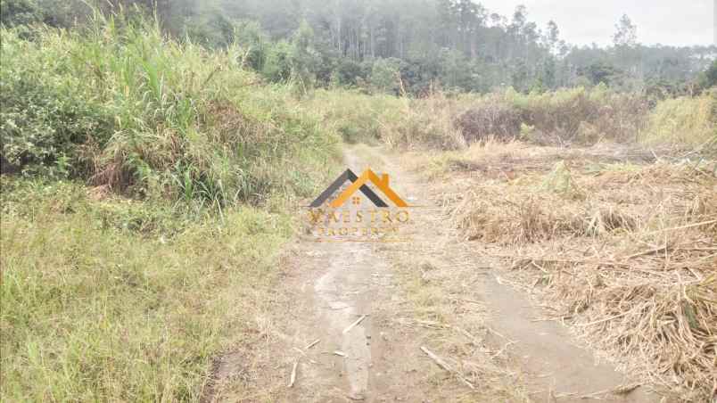 dijual tanah daerah karo desa ajinembah