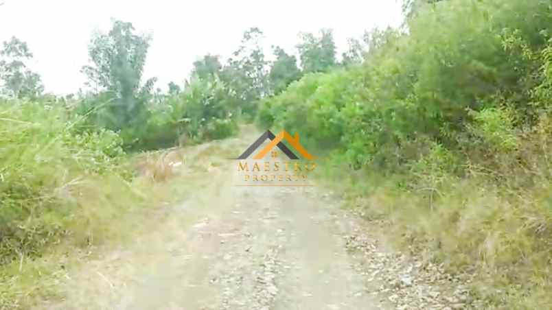 dijual tanah daerah karo desa ajinembah