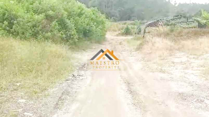 dijual tanah daerah karo desa ajinembah