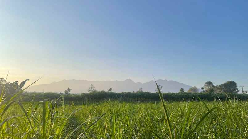 dijual tanah darangdan