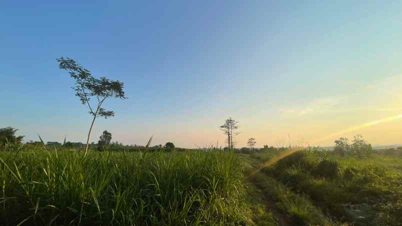 dijual tanah darangdan