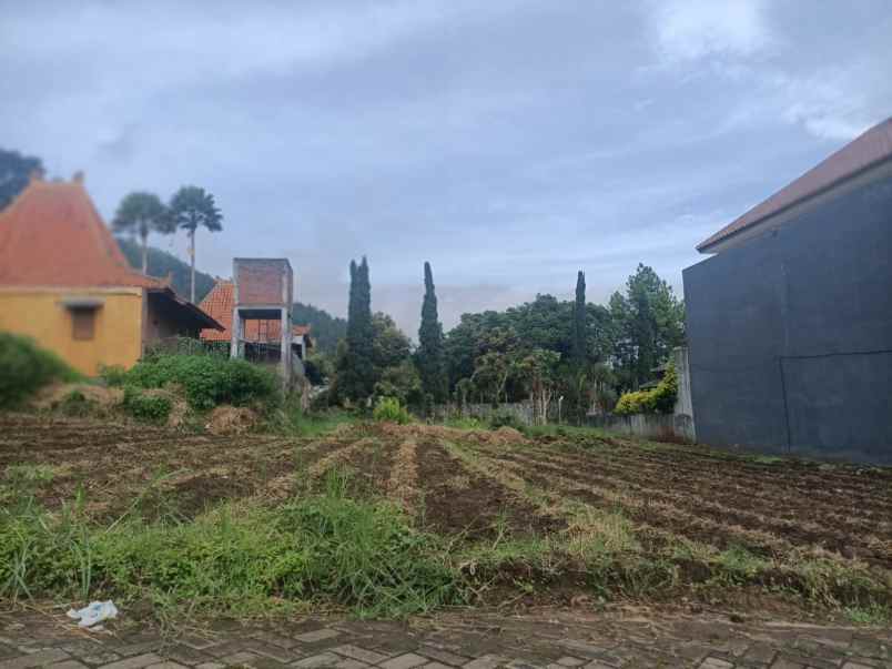 dijual tanah dekat jatim park batu