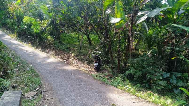 dijual tanah dengan isian penuh tanaman produktif