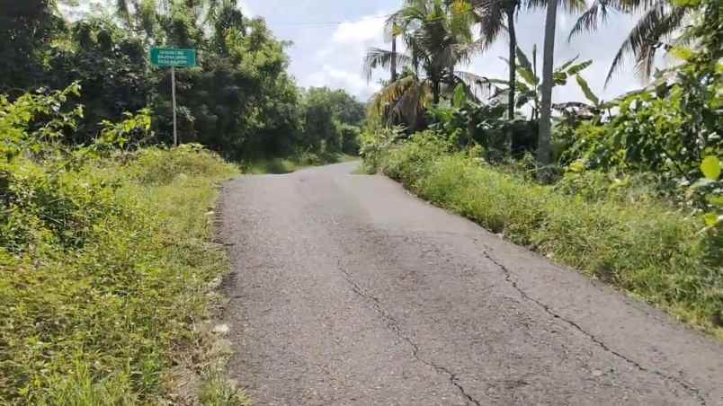 dijual tanah desa bajera selemadeg