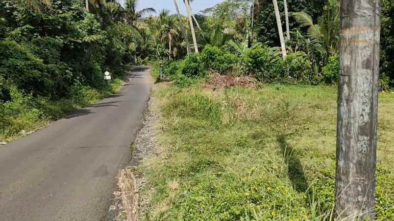 dijual tanah desa bajera selemadeg