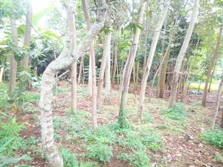 dijual tanah desa cilame kecamatan