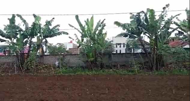 dijual tanah desa galanggang kecamatan