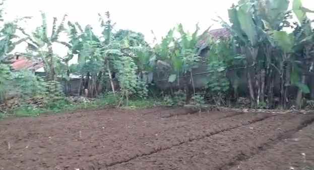 dijual tanah desa galanggang kecamatan