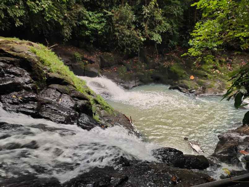 dijual tanah desa wisata dalang