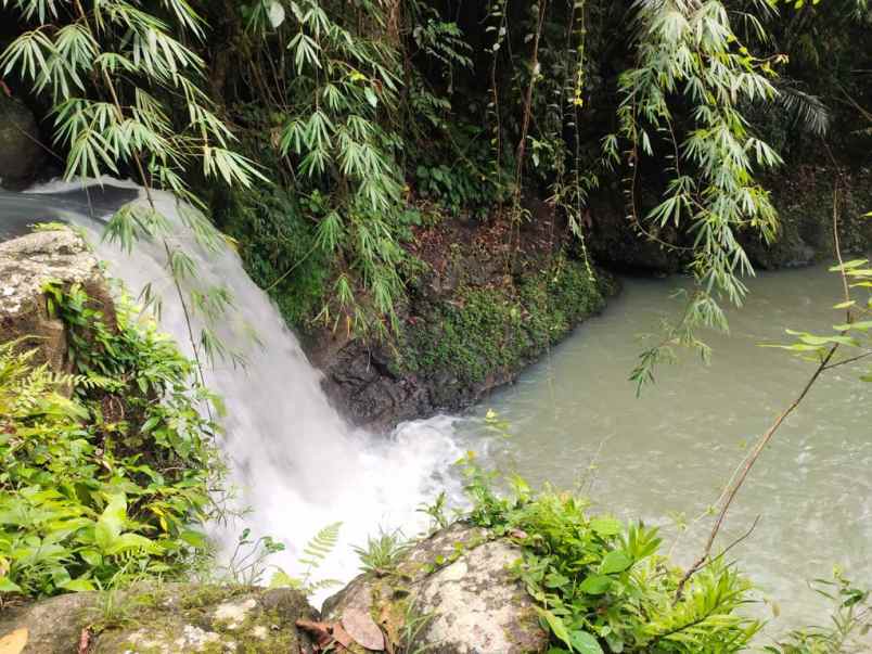 dijual tanah desa wisata dalang