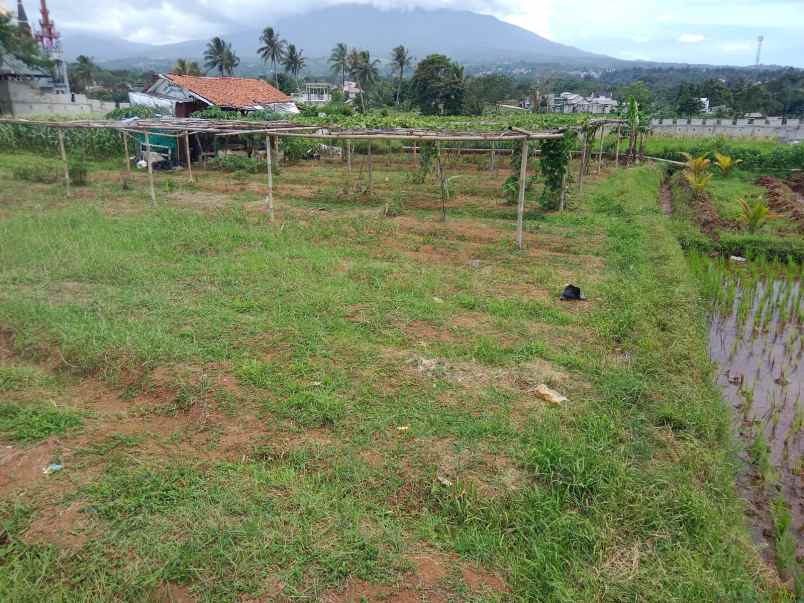 dijual tanah ex perkebunan