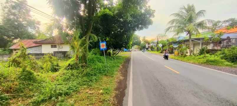 dijual tanah gerokgak buleleng bali