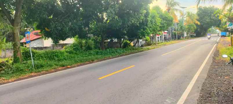 dijual tanah gerokgak buleleng bali