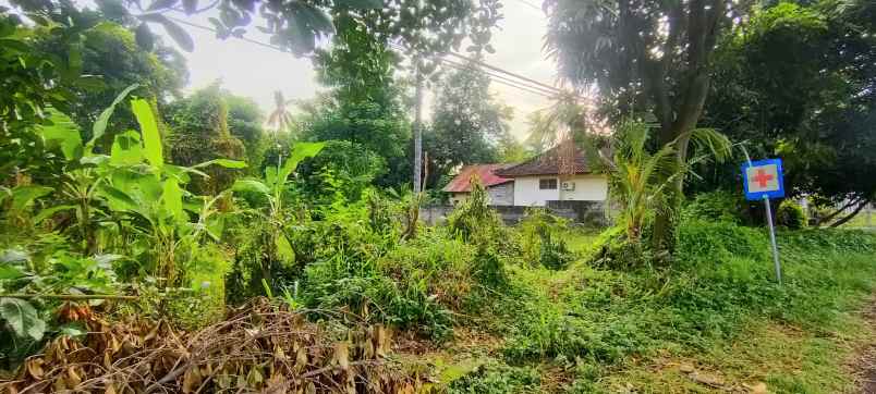 dijual tanah gerokgak buleleng bali