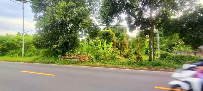 dijual tanah gerokgak buleleng bali