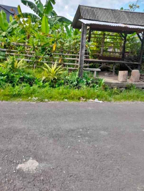 dijual tanah jalan cargo taman