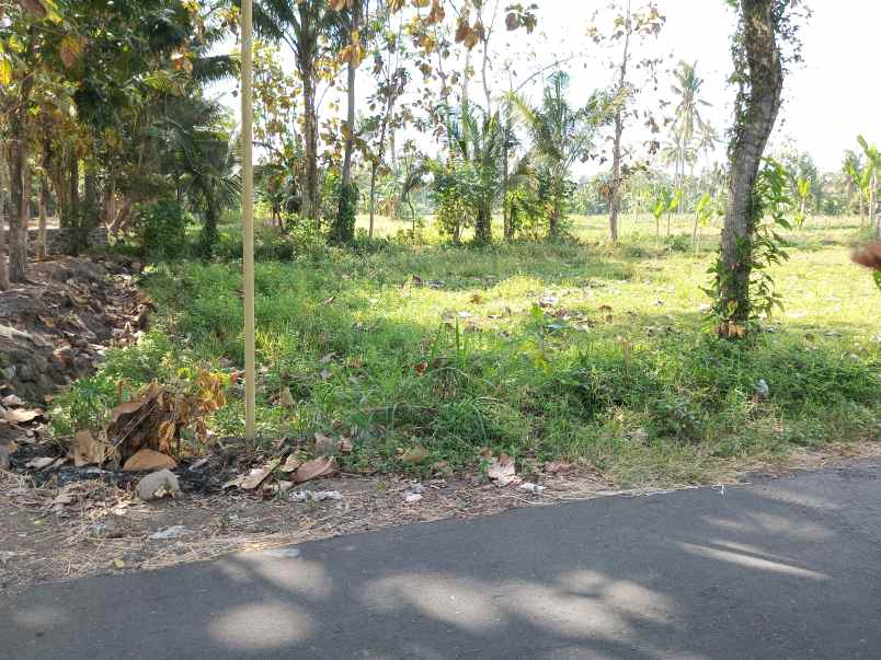 dijual tanah jalan kaliurang km 14