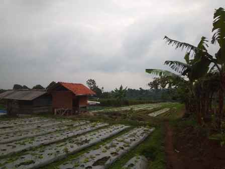 dijual tanah jalan kolonel masturi desa