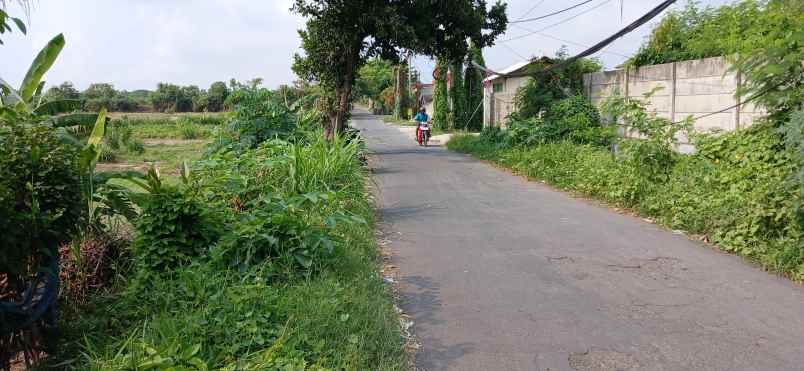 dijual tanah jalan padang galak sanur