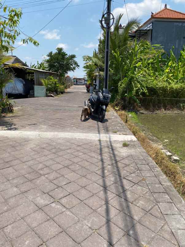 dijual tanah jalan raya cica buduk