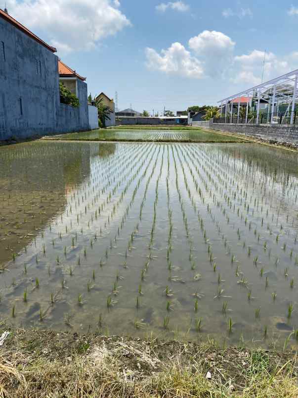 dijual tanah jalan raya cica buduk