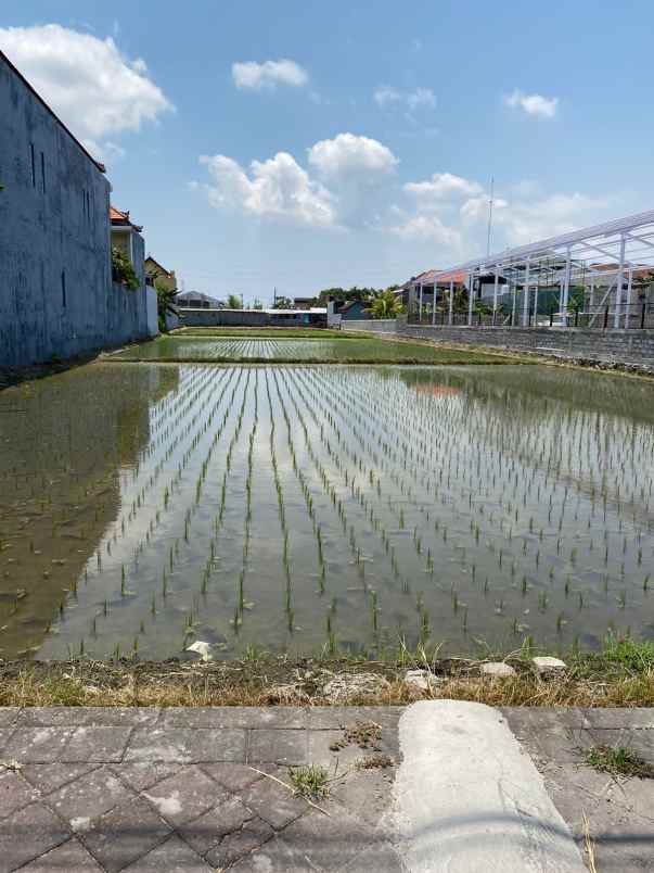 dijual tanah jalan raya cica buduk