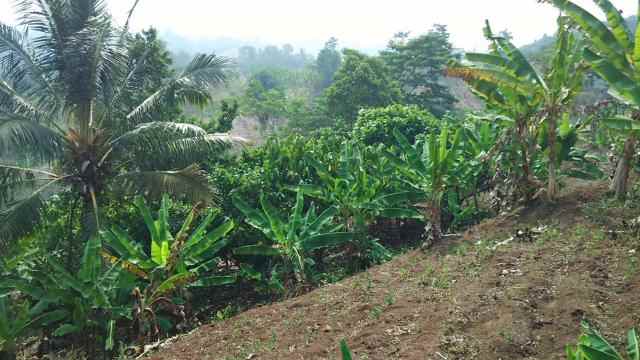 dijual tanah jalan raya lintas sumatera