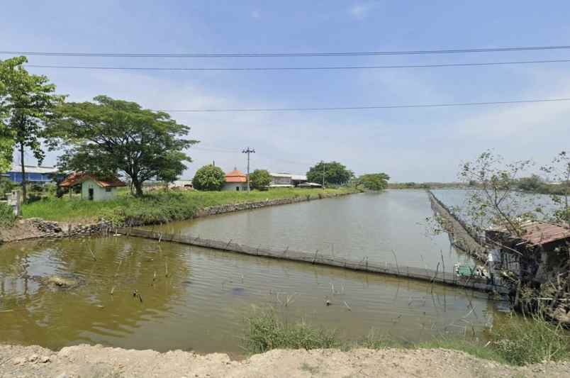 dijual tanah ji raya arteri kaliwungu