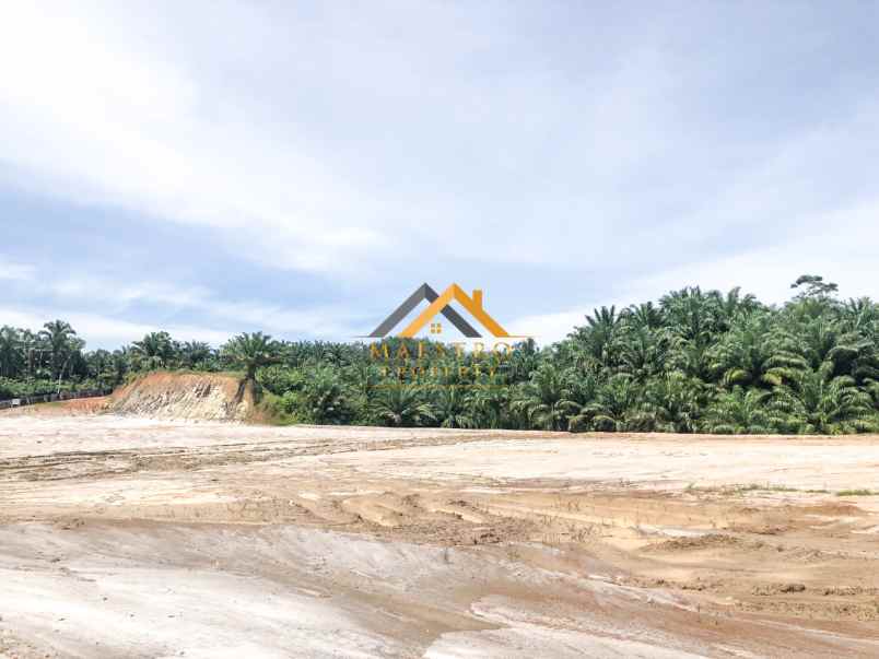 dijual tanah jl hilir desa negara