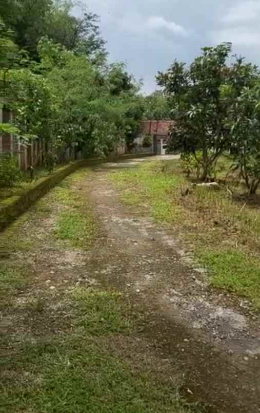 dijual tanah jl pasopati desa