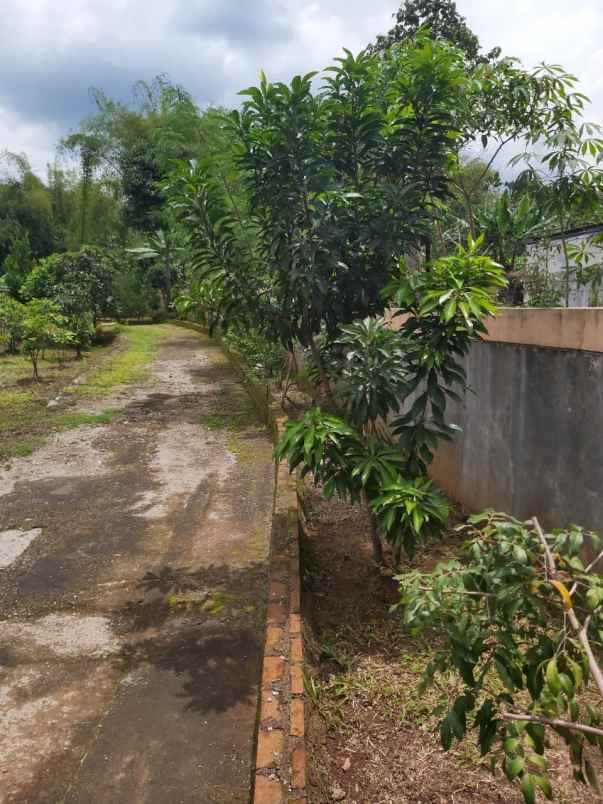 dijual tanah jl pasopati desa