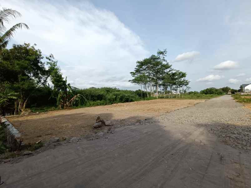 dijual tanah jl sembuh wetan area sawah