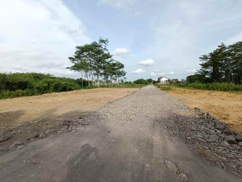 dijual tanah jl sembuh wetan area sawah