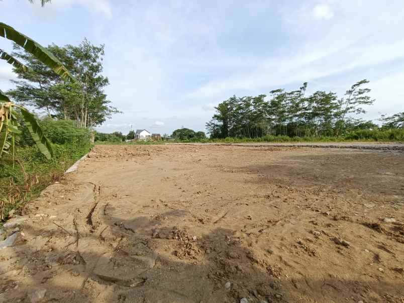 dijual tanah jl sembuh wetan area sawah