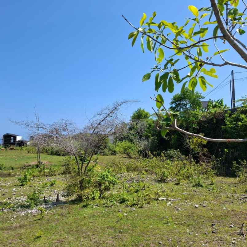 dijual tanah jl tulip ungasan