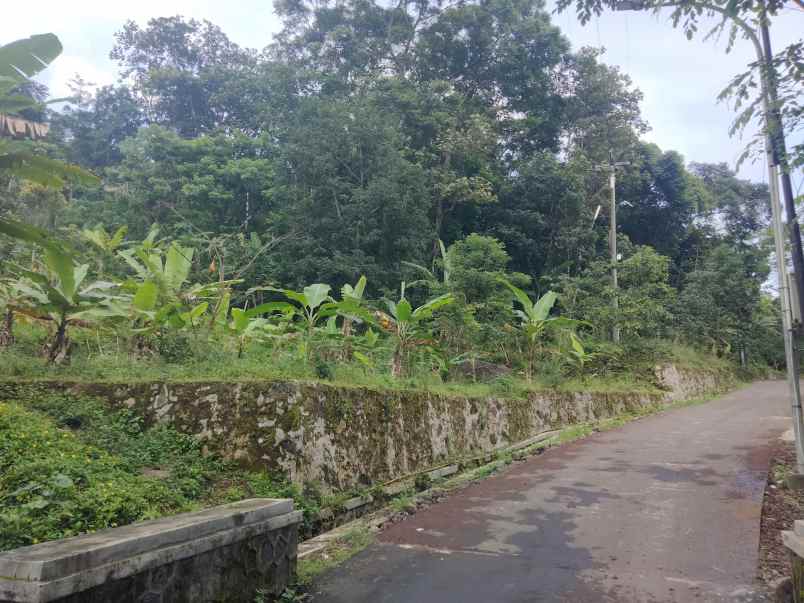 dijual tanah kebun pinggir jl sayana kuningan