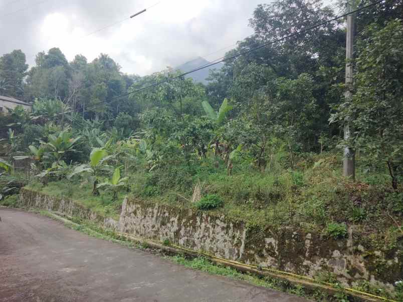 dijual tanah kebun pinggir jl sayana kuningan