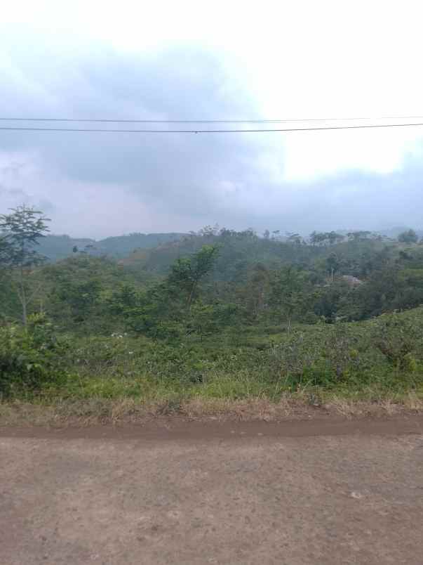 dijual tanah kebun produktif pinggir jalan